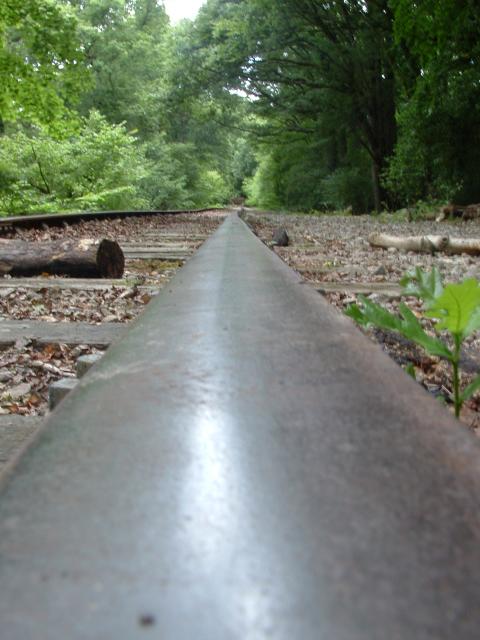 Botley railway sidings, Artistic rail shot.jpg