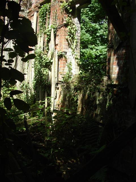 Rookesbury Estate, Derelict building.jpg